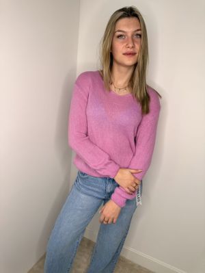  rose bb